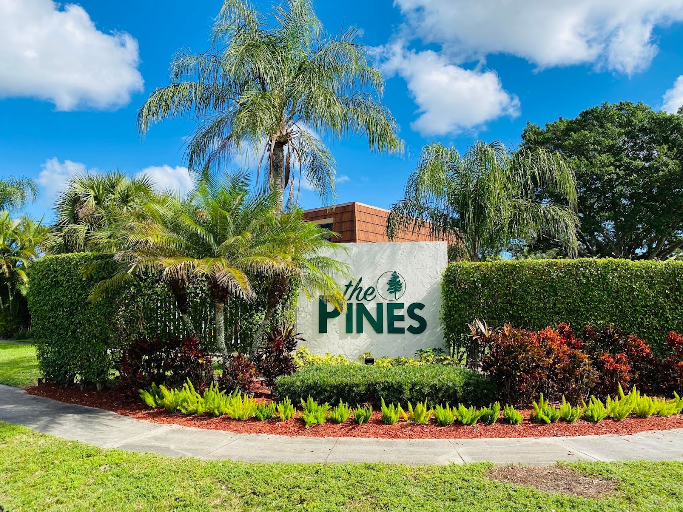 The Pines